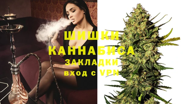 гидра Аркадак